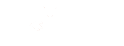 Fox Business Support Logo - White